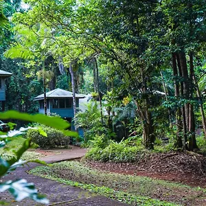 Lodge Ferntree Rainforest Cape Tribulation